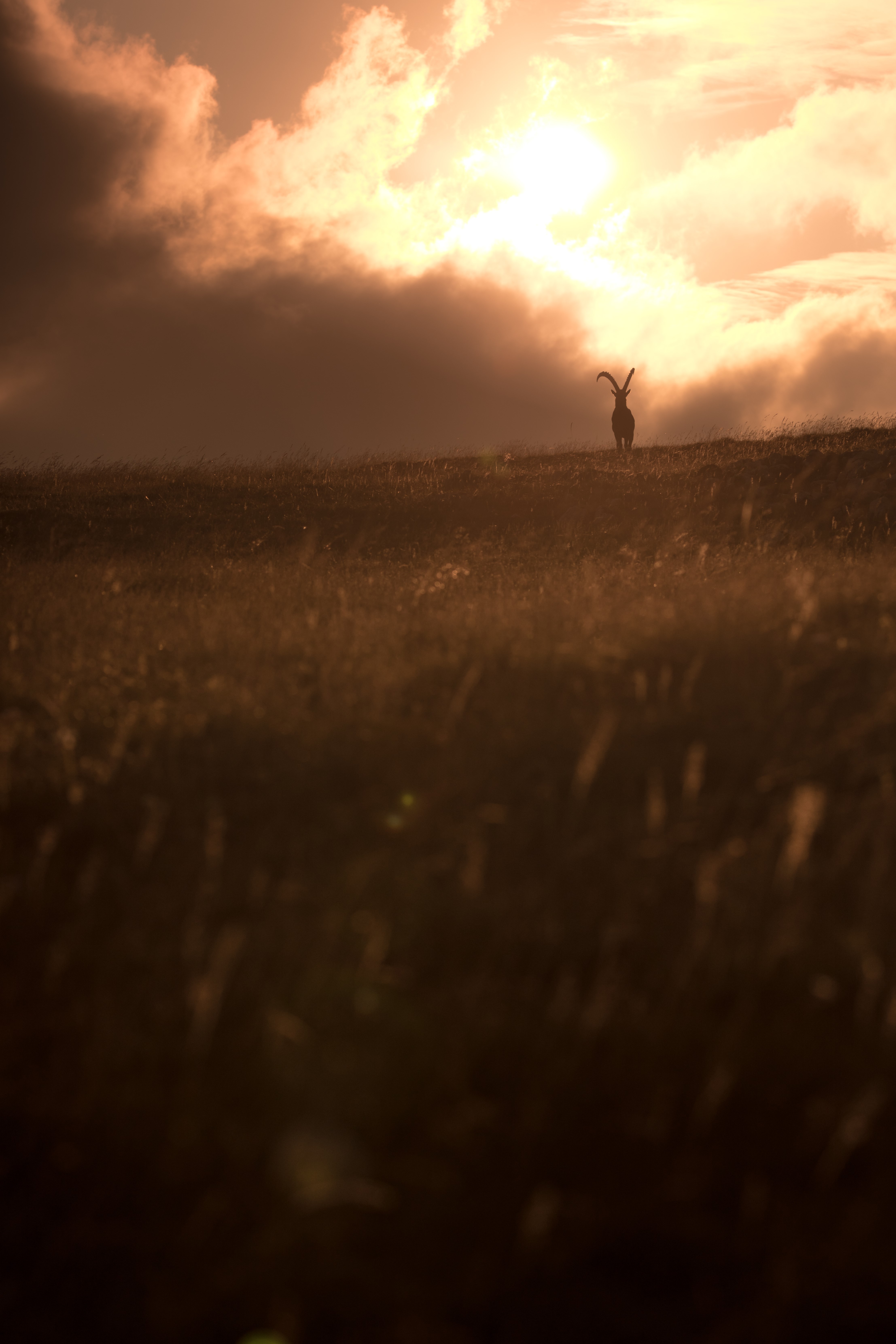 Atmosphère